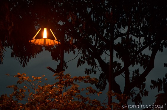 Photography: Photography is all about Photography