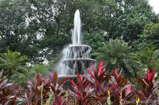 Photography: Photography is all about Photography